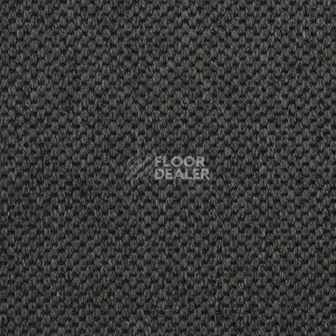 Ковролин Carpet Concept Yve 2 6409 фото 1 | FLOORDEALER