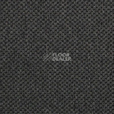 Ковролин Carpet Concept Yve 2 6409 фото 1 | FLOORDEALER