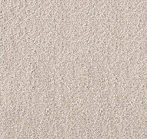 Ковролин AW Energy 34 фото 1 | FLOORDEALER