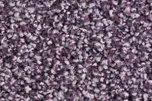 Ковролин Balsan Les Must Les Must 860 фото  | FLOORDEALER