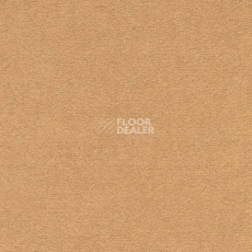 Ковролин Finett Feinwerk 403501 фото 1 | FLOORDEALER