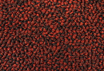 AW Maxima 12 фото 4 | FLOORDEALER