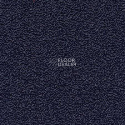 Ковролин Desso Marathon 8901 фото 1 | FLOORDEALER