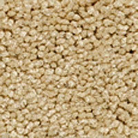 Ковролин Girloon Body1 850 фото 1 | FLOORDEALER