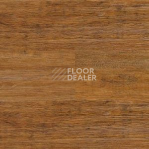 Линолеум Polyflor Expona Wood 6149 фото 1 | FLOORDEALER