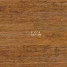 Линолеум Polyflor Expona Wood 6149 фото 1 | FLOORDEALER