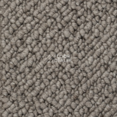 Ковролин Creatuft Titan 40 Grey фото 1 | FLOORDEALER