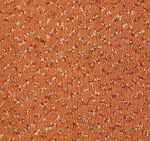 Ковролин Vorwerk Allegro 1h61 фото 1 | FLOORDEALER