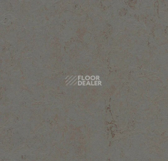 Линолеум Forbo Marmoleum Solid Concrete 3703 comet фото 1 | FLOORDEALER