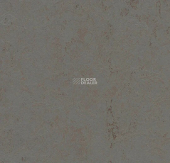 Forbo Marmoleum Solid Concrete 3703 comet фото 1 | FLOORDEALER