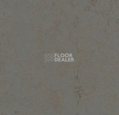 Линолеум Forbo Marmoleum Solid Concrete 3703 comet фото 1 | FLOORDEALER