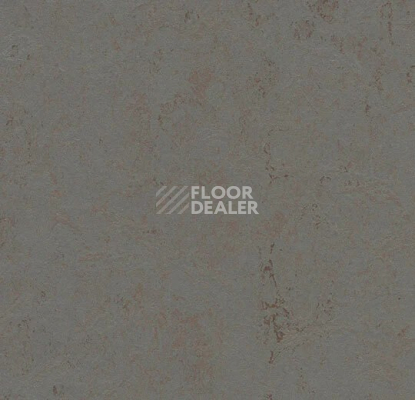 Линолеум Forbo Marmoleum Solid Concrete 3703 comet фото 1 | FLOORDEALER