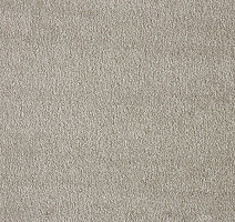 Ковролин AW Masquerade Fedone 45 фото 1 | FLOORDEALER