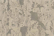 Пробковое покрытие Corkstyle Mountain настенное RIMO фото 1 | FLOORDEALER