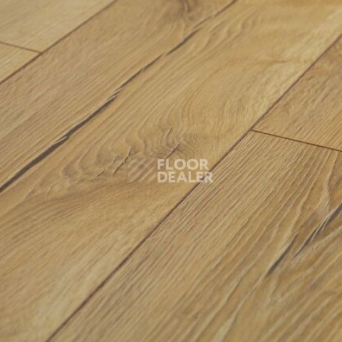 Ламинат Kronopol Aurum Aroma d3881 Дуб Мятой фото 1 | FLOORDEALER