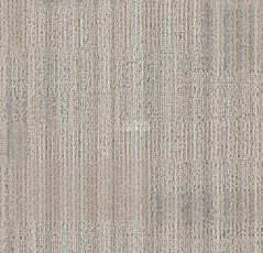 Tessera Alignment 219 Equinox фото 1 | FLOORDEALER