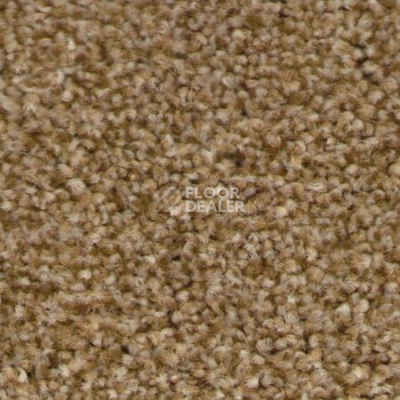 Ковровая плитка Ruscarpettiles Riva 150 фото 1 | FLOORDEALER