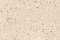 Пробковое покрытие Eco Cork MADEIRA WHITE фото 1 | FLOORDEALER