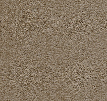 Ковролин ITC Ritzy / Follie Ritzy / Follie 049 фото 1 | FLOORDEALER