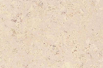 Пробковое покрытие Eco Cork MADEIRA WHITE фото 1 | FLOORDEALER