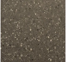 Линолеум Apoluza Tangyun 1004 фото 1 | FLOORDEALER