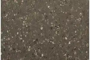 Линолеум Apoluza Tangyun 1004 фото  | FLOORDEALER