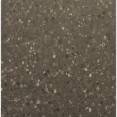 Линолеум Apoluza Tangyun 1004 фото 1 | FLOORDEALER