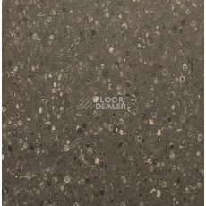 Линолеум Apoluza Tangyun 1004 фото 1 | FLOORDEALER