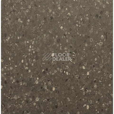 Линолеум Apoluza Tangyun 1004 фото 1 | FLOORDEALER