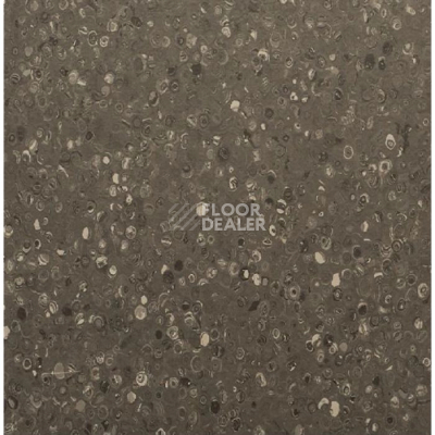 Линолеум Apoluza Tangyun 1004 фото 1 | FLOORDEALER