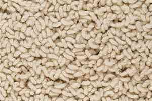 Ковролин Best Wool Pure Royal Marquis 104 фото  | FLOORDEALER