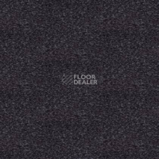 Ковролин Tapibel Spirit 8850 фото 1 | FLOORDEALER