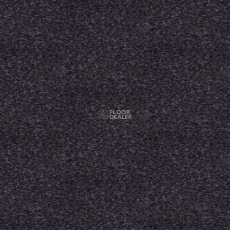 Tapibel Spirit 8850 фото 1 | FLOORDEALER