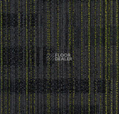 Ковровая плитка Tessera Alignment 238 Terrestrial фото 1 | FLOORDEALER