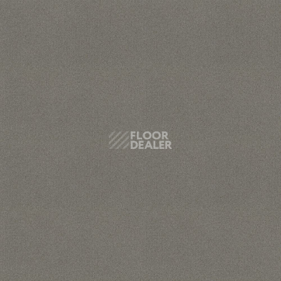 Ковровая плитка Tessera basis pro 4379 Suede фото 1 | FLOORDEALER