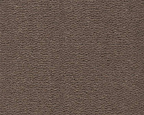 Ковролин Best Wool Pure Tasman 131 фото 1 | FLOORDEALER