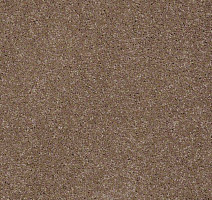 Ковролин Shaw Design Texture Platinum 700 фото 1 | FLOORDEALER