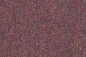 Ковровая плитка Shaw Momentum 02812 фото  | FLOORDEALER