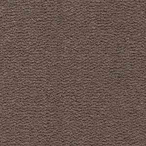 Ковролин Best Wool Pure Tasman 131 фото ##numphoto## | FLOORDEALER