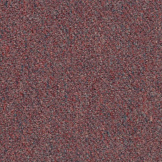 Shaw Momentum 02812 фото 1 | FLOORDEALER