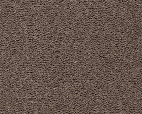 Best Wool Pure Tasman 131 фото 1 | FLOORDEALER