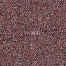 Ковровая плитка Shaw Momentum 02812 фото 1 | FLOORDEALER