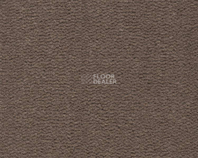 Ковролин Best Wool Pure Tasman 131 фото 1 | FLOORDEALER