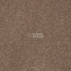 Ковролин Shaw Design Texture Platinum 700 фото 1 | FLOORDEALER