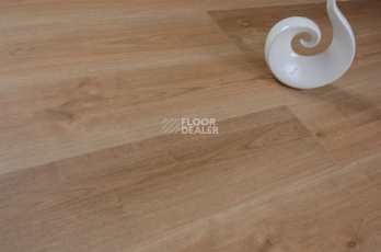 Evofloor Optima Click 4.2мм Дуб Миндаль фото 3 | FLOORDEALER