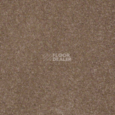 Ковролин Shaw Design Texture Platinum 700 фото 1 | FLOORDEALER