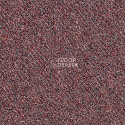 Ковровая плитка Shaw Momentum 02812 фото 1 | FLOORDEALER
