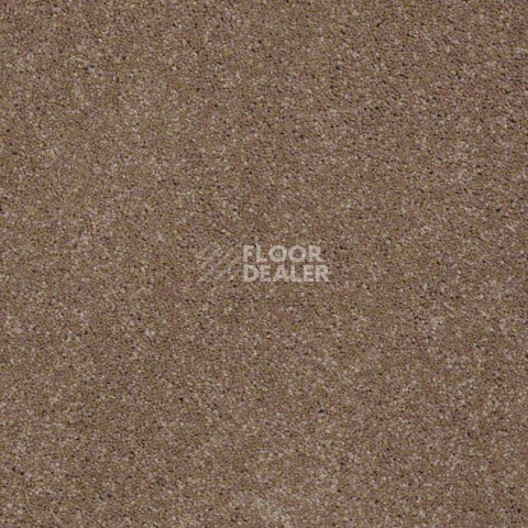 Ковролин Shaw Design Texture Platinum 700 фото 1 | FLOORDEALER