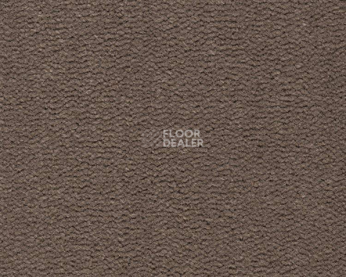 Ковролин Best Wool Pure Tasman 131 фото 1 | FLOORDEALER