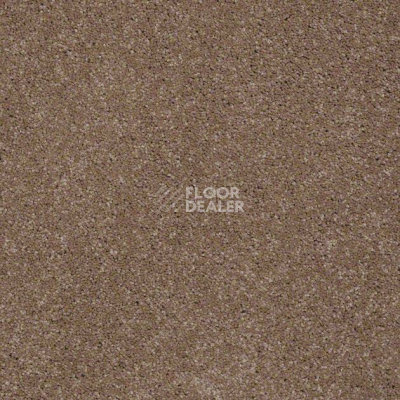 Ковролин Shaw Design Texture Platinum 700 фото 1 | FLOORDEALER